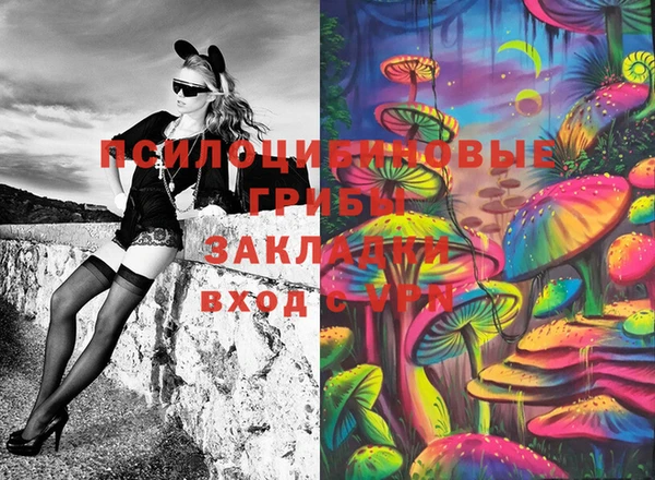 мдма Белокуриха