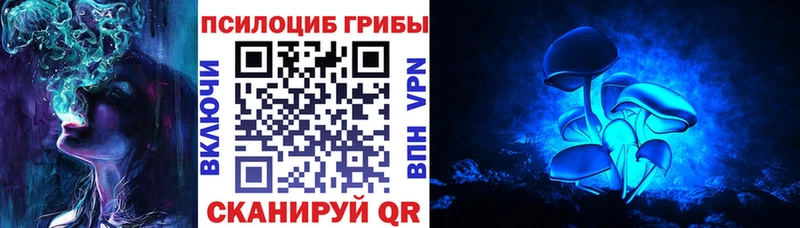 Псилоцибиновые грибы Magic Shrooms  купить наркотики сайты  Шимановск 